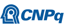 Logo INCT Caleidoscópio CNPq