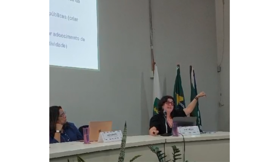 I Seminário Internacional do INCT Caleidoscópio tem três dias de debate visando a promoção de equidade de gênero e étnico-racial nas ciências