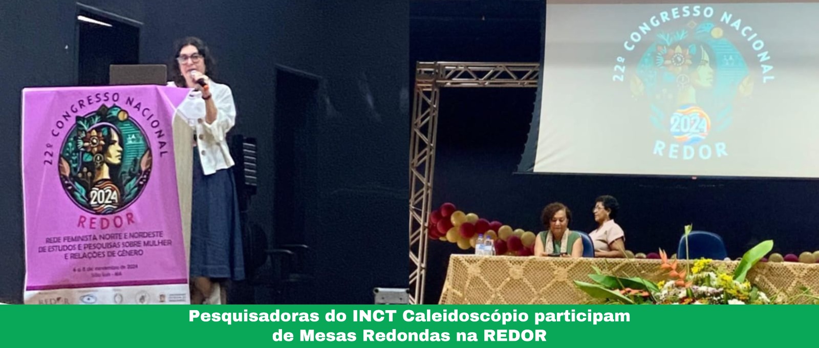 Pesquisadoras do INCT Caleidoscópio participam de mesas redondas na REDOR