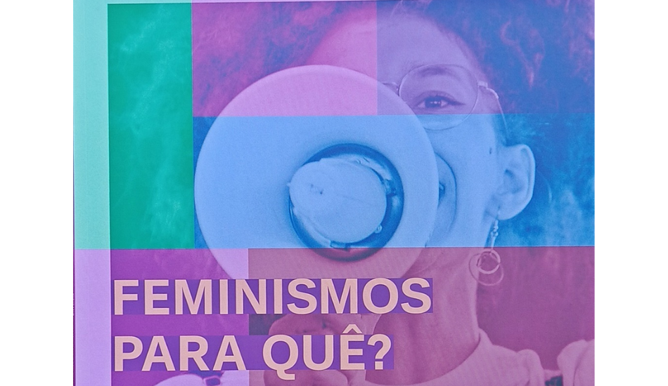 segundo volume da edição nº 30 da Revista Darcy/UnB trouxe como tema de capa "Feminismos para quê? INCT Caleidoscópio. Femifilme cinedebate na Revista Darcy/UnB.